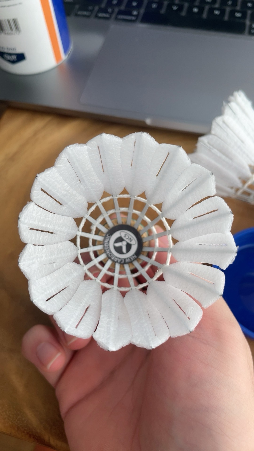 仅展示了他 仅展示了他