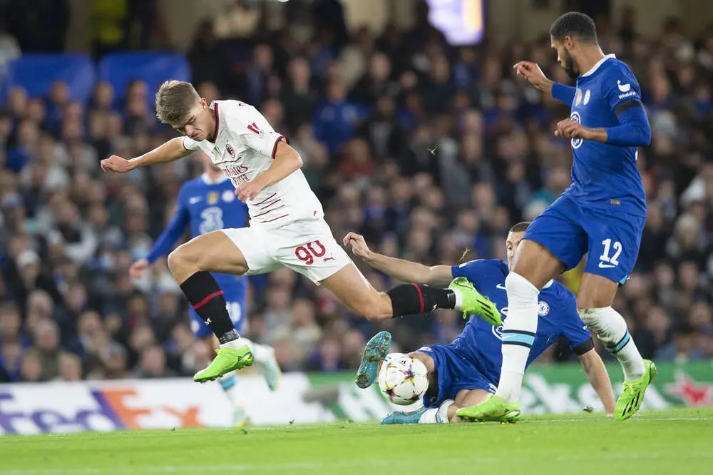 组织与深圳 组织与深圳